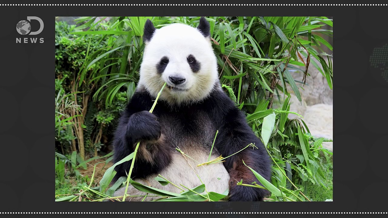 Why Does Hot Food Taste Better Than Cold Food?