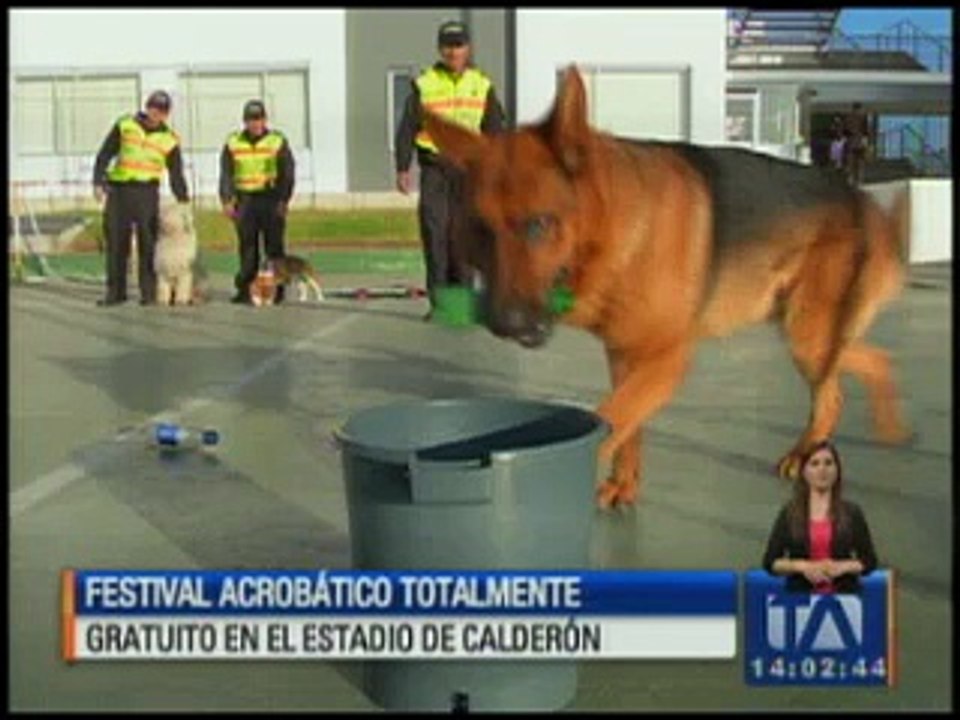 Festival acrobático, ferias, conciertos y cine para este fin de semana