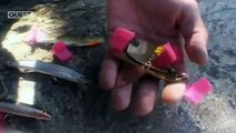 FISHING Jungle Hooks E01P02 India Mountain Monsters - Fishing Video