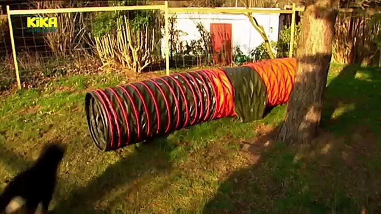 Die Sendung mit dem Elefanten - 262. Folge