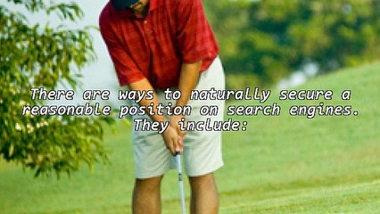 The Myth of Search Engine Optimization