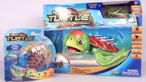ROBO TURTLE ROCK & BOWL PLAYSET Robotic Pet Toy Review Unboxing Family Video