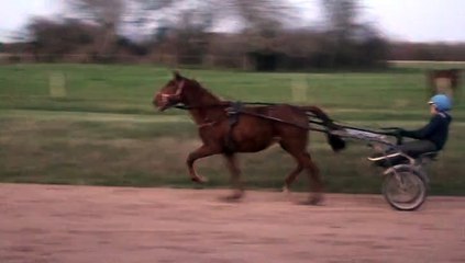 ELISA DU VIVIER A STE MARIE