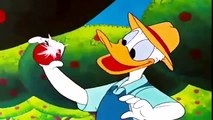 3 Hour DONALD DUCK CARTOON & CHIP AND DALE CARTOON Mickey Mouse and Pluto New Compilation