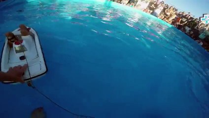 La plus -WTF-  un écureuil fait du ski nautique
