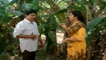 Best Malayalam Comedy Part 10 | Malayalam Comedy Scenes | Malayalam Movie Non Stop Comedy