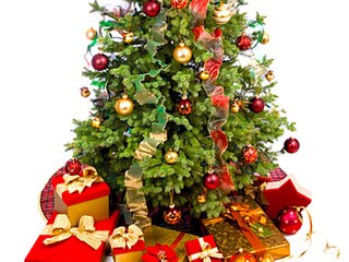 5 Tips to Keep Your Christmas Tree Living Longer