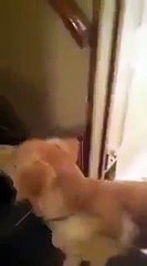 fantastic, wonderful teacher