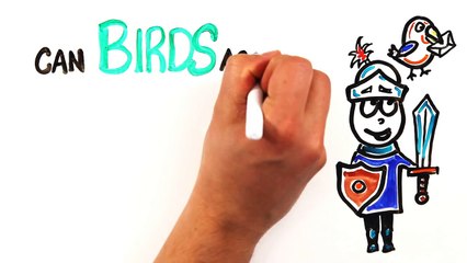 Can Birds Actually Deliver Messages?