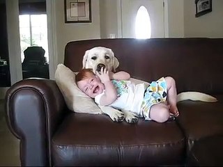 Пес играет с ребенком