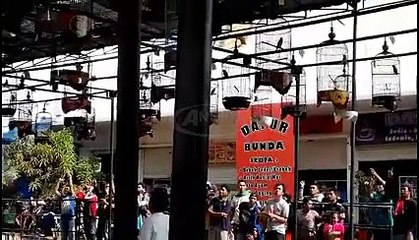 Kontes Burung Nasional Komunitas Lovebird Indonesia