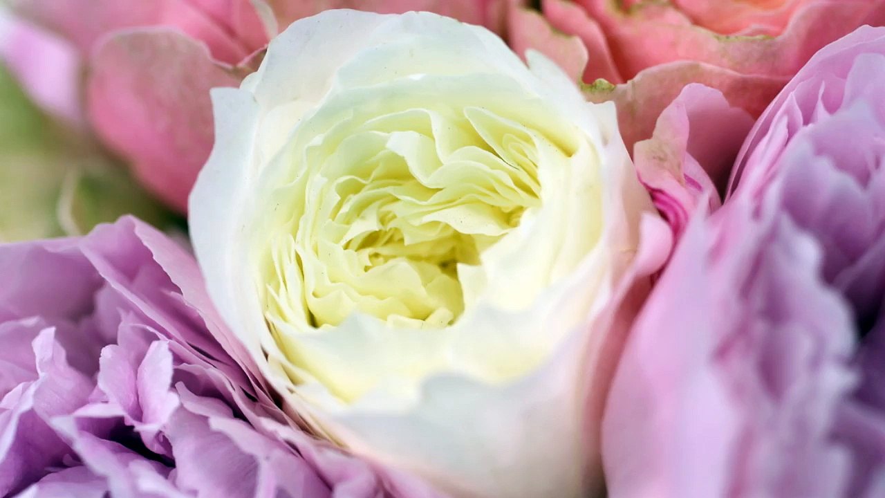 Soft Coloured Wedding Flowers by London Todich Floral Design