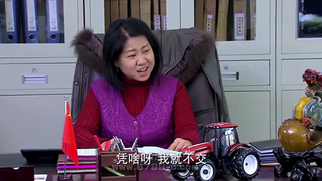 爹妈满院 26