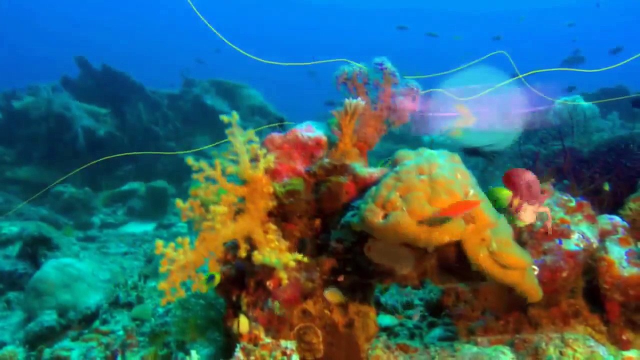 Zig & Sharko - Hundreds Of Kids And Counting  Full Episode In Hd