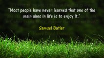 Amazing Quotes About Life By Famous People