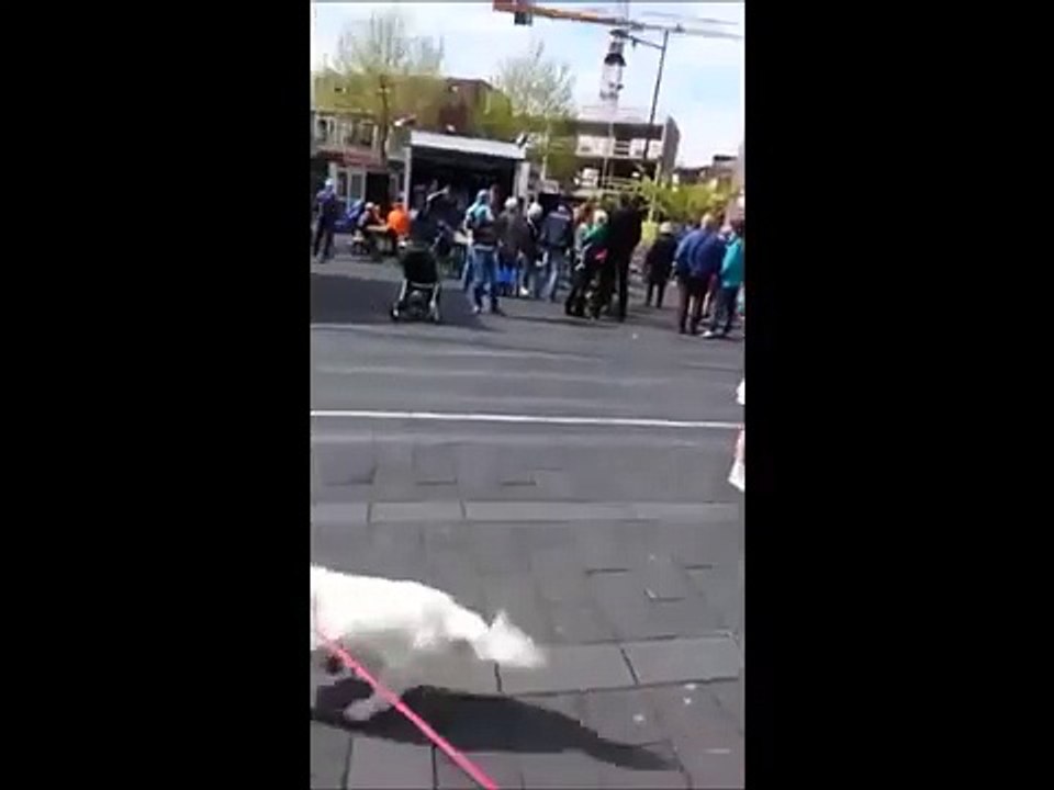 He May Be Old, He May Be Deaf, But Man, Can He...