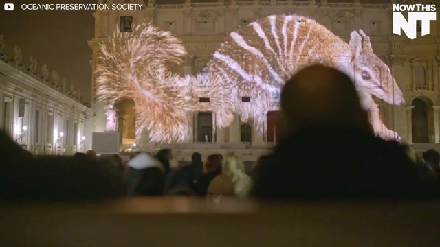 Giant Animals Projected Onto Vatican For Climate Change Awareness