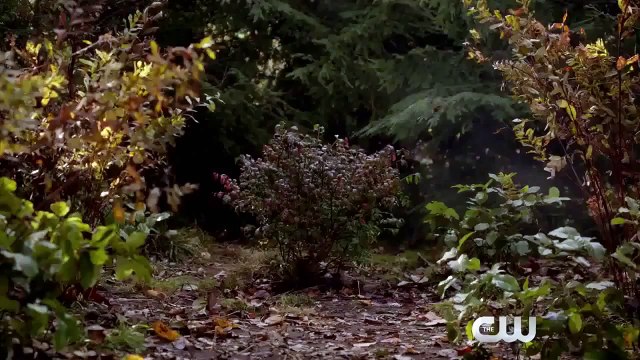 Supernatural 11x09 Promo Season 11 Episode 9 Promo - Extended