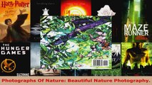 Read  Photographs Of Nature Beautiful Nature Photography EBooks Online