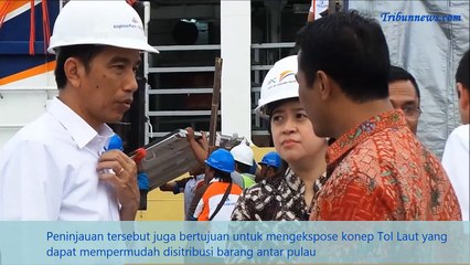 Presiden Jokowi Sambut 353 Sapi dari NTT