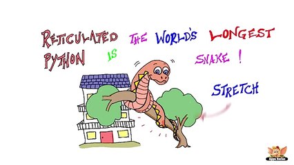 Fun Facts About Reptiles