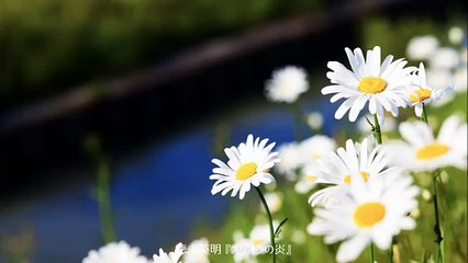 徳永英明　オリオンの炎