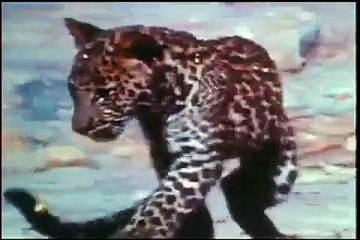 Leopard Cub Vs King Cobra