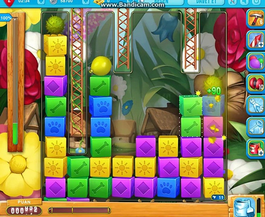 pet rescue 1006 level game