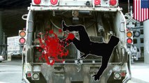 Homeless man survives being crushed twice in garbage truck's trash compactor