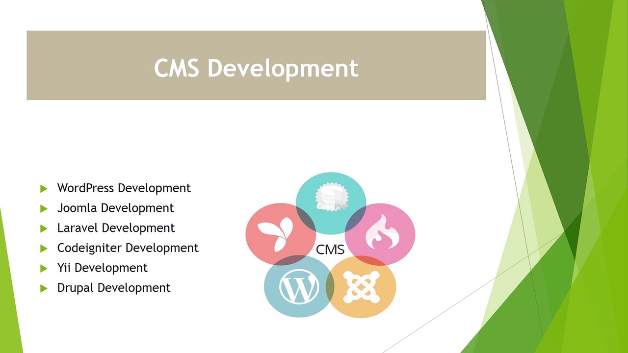 Web Design and Development Company Netgains Technology