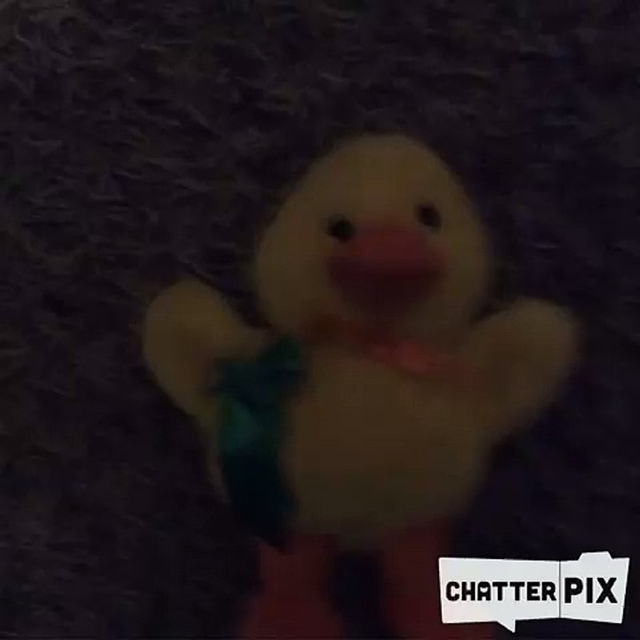 is chicken dead or not