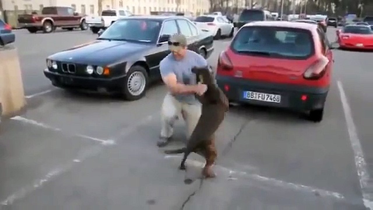 Верность этого видео зашкаливает
