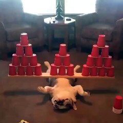 the perfect balance to sleep