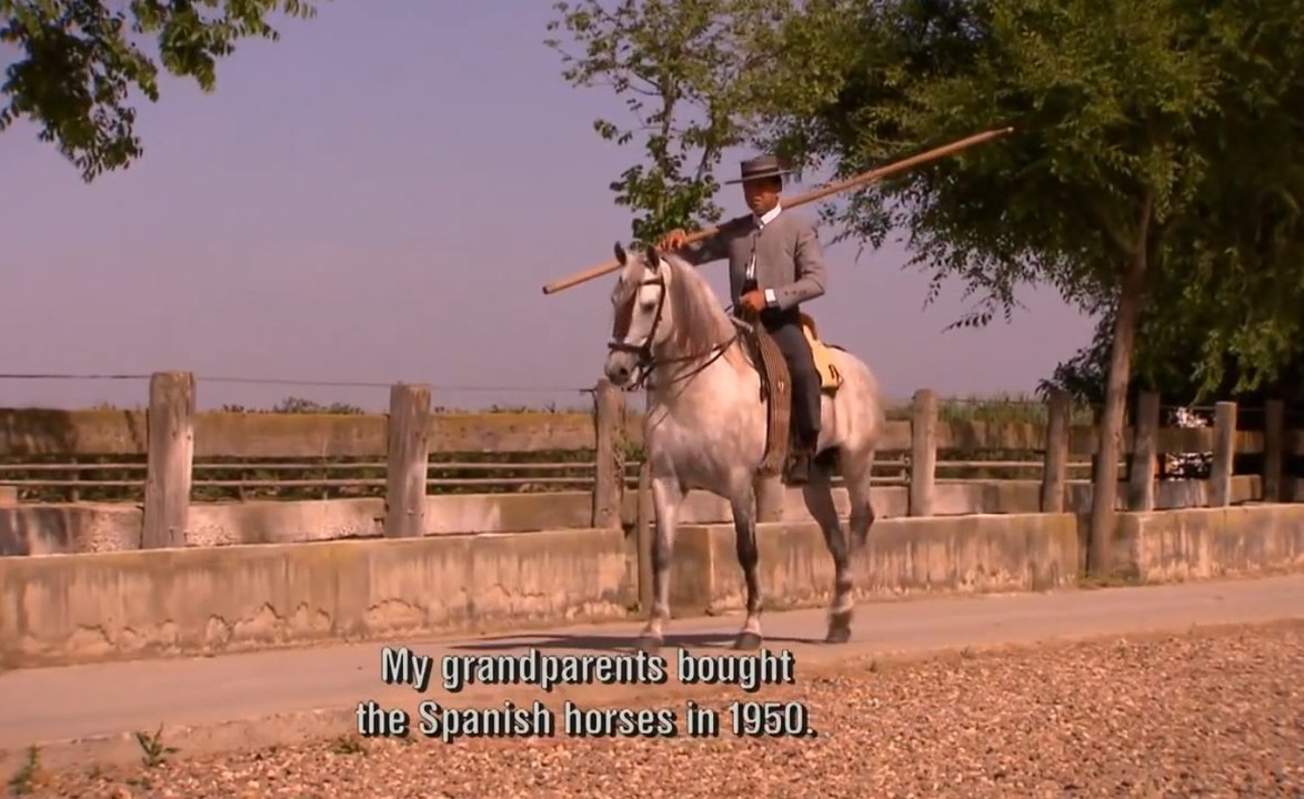 Horse of Kings, Thief of Hearts, The Carthusian Horse