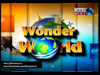 Wonder World-Roshni Memon-  11th December 2015