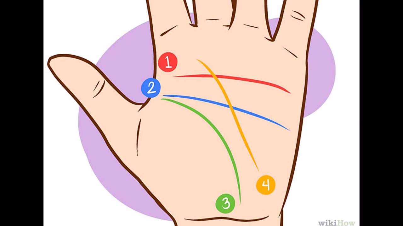 COMO LEER LAS LINEAS DE LA MANO/ LA LINEA DE LA VIDA