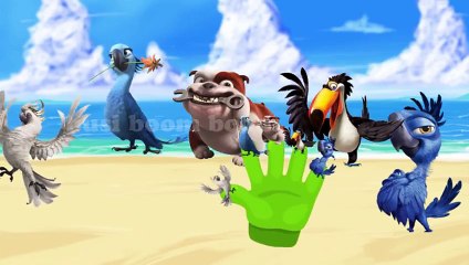 RIO 2 Finger Family Nursery Rhymes For Children and Babies| Fan Made |