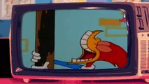 WOODY WOODPECKER - PICCHIARELLO - Videosigle cartoni animati in HD (sigla iniziale) (720p)