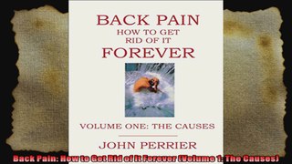 Back Pain How to Get Rid of It Forever Volume 1 The Causes