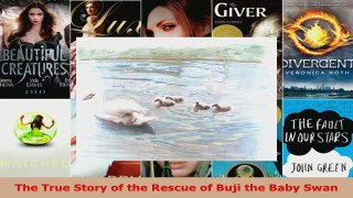 Download  The True Story of the Rescue of Buji the Baby Swan EBooks Online