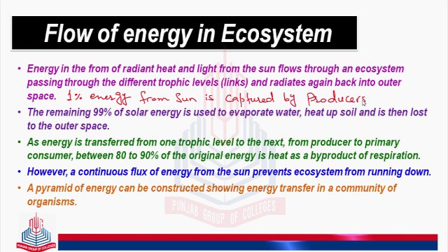 Flow Of energy in Ecosystem & Stability of Ecosystem