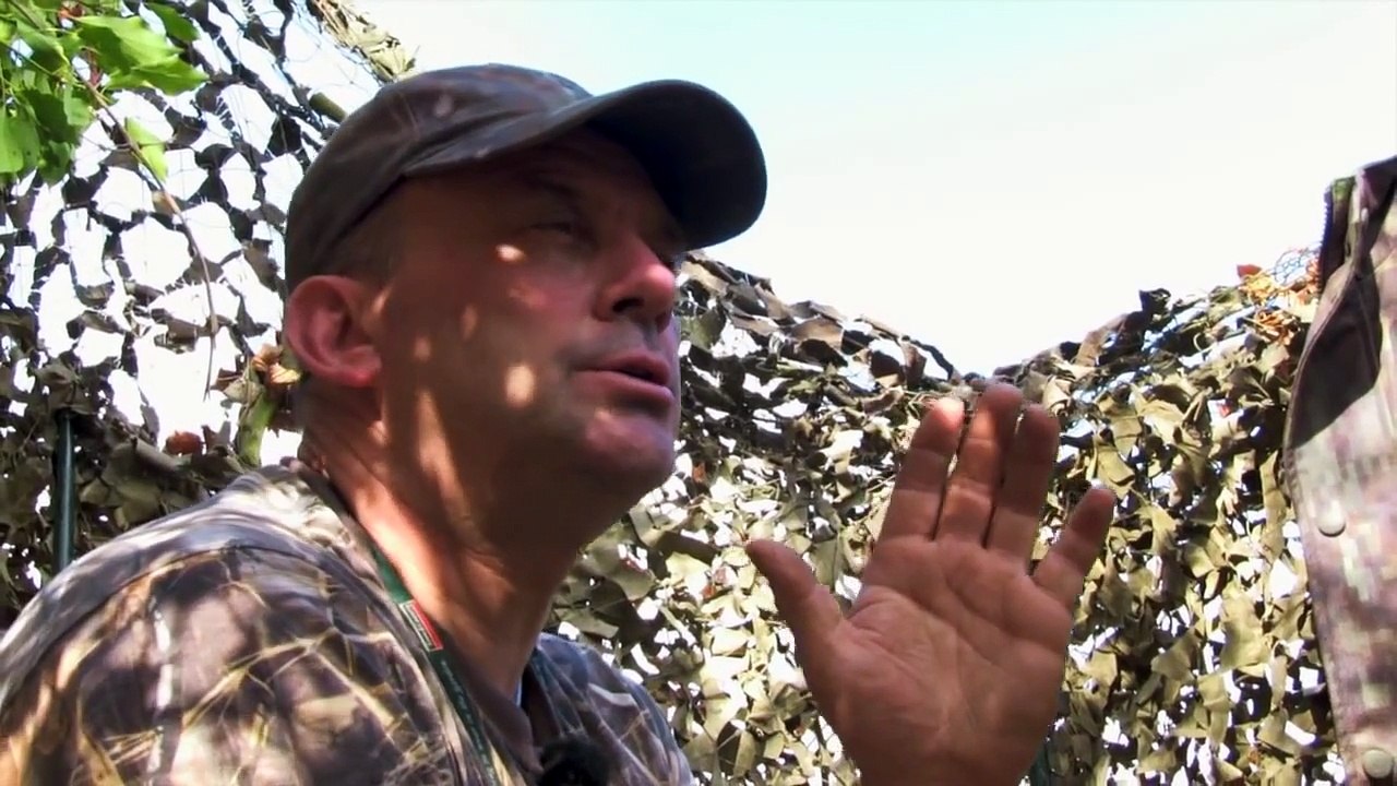 The Shooting Show pigeon decoying mania and Geco ballistics tested