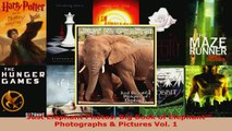 Read  Just Elephant Photos Big Book of Elephant Photographs  Pictures Vol 1 Ebook Free