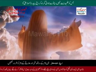 غالی کون ہیں؟ مکمل ویڈیو کے ساتھ تفصیل جانیں 🧐