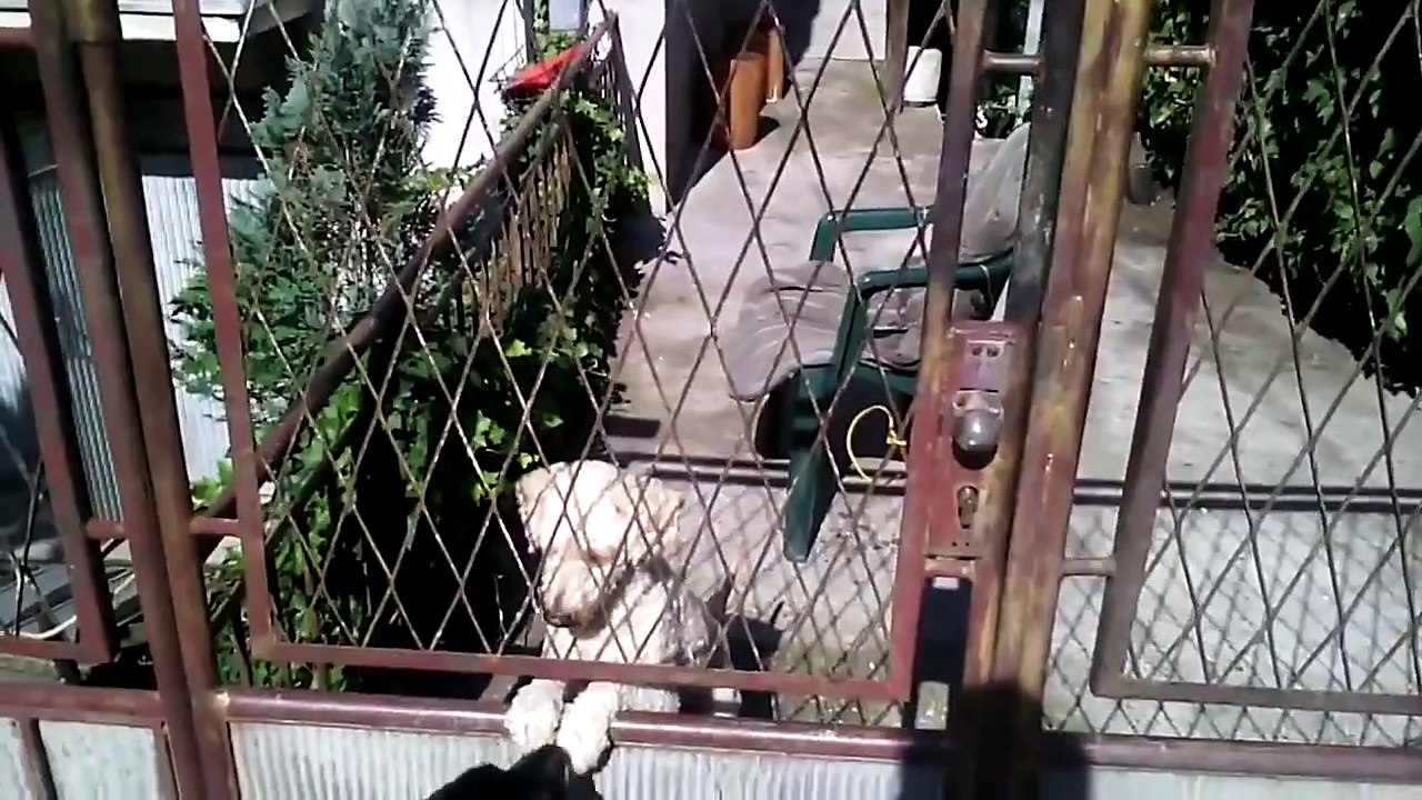 NEW The Best Fails of August 2015 | Part 8 Fail Compilation