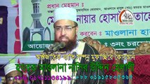 Bangla Waz Allama Nasir Uddin Helali (Islamic Song)