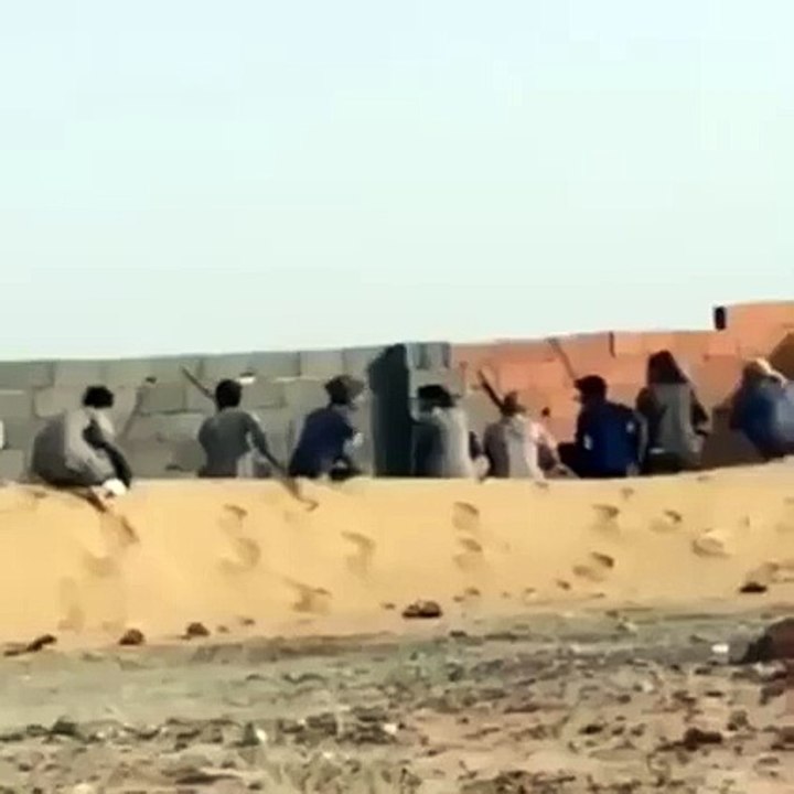 هل هذا صيد ام فساد ؟