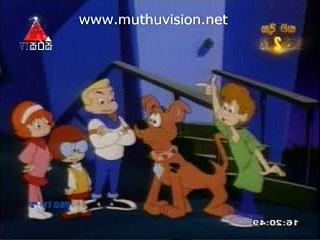 scubi 10.12.2015 not