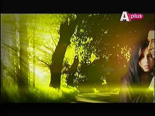 Bheegi Palkein Episode 6 Promo on Aplus