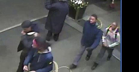 Central Park Robbery Suspects